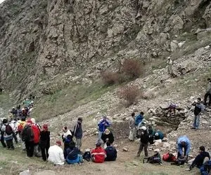 آواز خیابانی؛ جمع جمع ریش سفید هاست ببییند تو کوه چه بزن و بخونی راه انداختن ایولاا