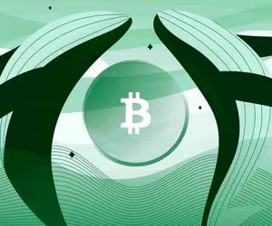 دو نهنگ بزرگ که خسارت سنگینی به رمزارزها زدند!