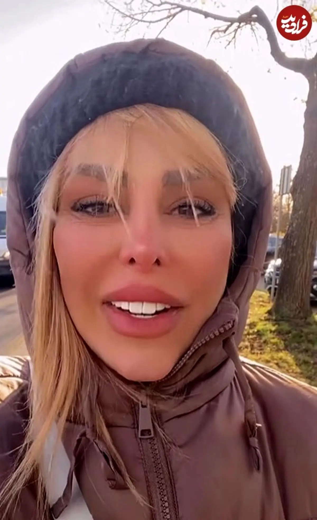 screenshot2024-11-29125122