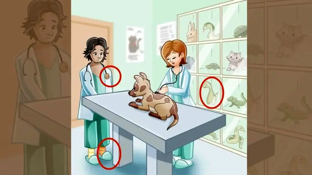 solution-to-spot-mistake-in-the-pets-clinic-65d2f7a5877b362323794-1200-ezgif.com-webp-to-jpg-converter