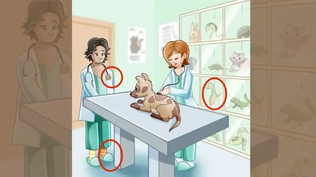 solution-to-spot-mistake-in-the-pets-clinic-65d2f7a5877b362323794-1200-ezgif.com-webp-to-jpg-converter