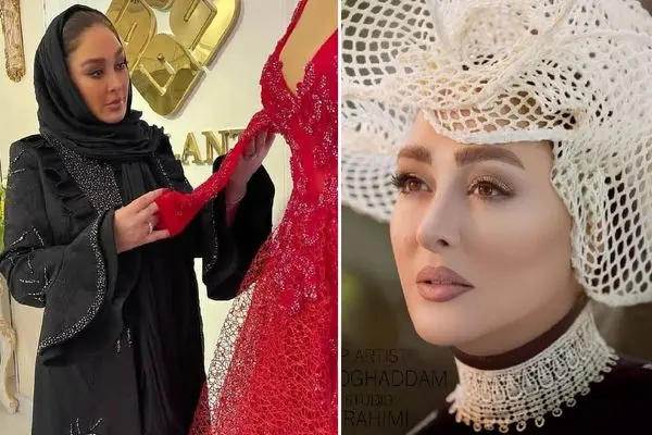 elham hamidi shayanews