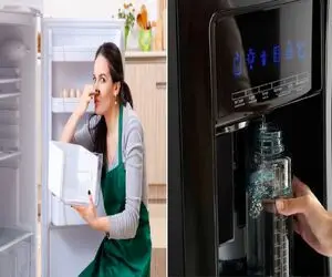 بوی بد آبسرد کن کلافت کرده/ با این روش جلوشو بگیر و همیشه آب خنک و بدون بو داشته باش