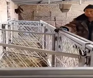 دامداری نوین؛ تو طویله حصار تاشو ساختن گاوهایی که مودب و خوبن اتاق اختصاصی داشته باشن