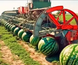 کشاورزی مدرن؛ ماشین آلاتی که بعد برداشت از اونور بذر میکاره فرآیند سرعت بده