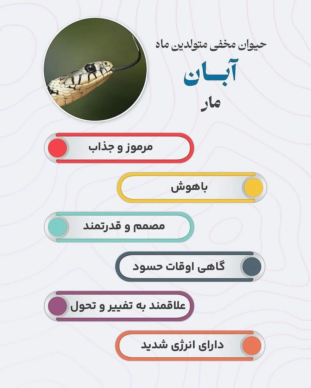 حیوان هر ماه