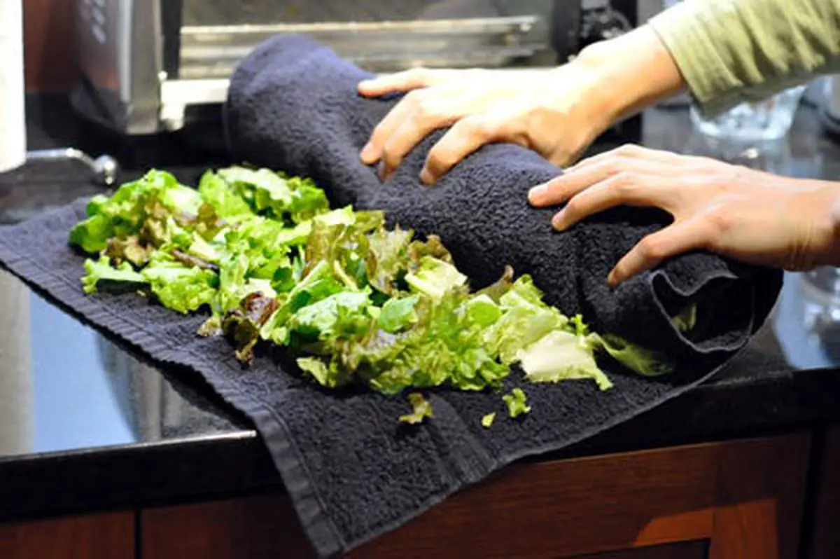 Keep-lettuce-fresh-5