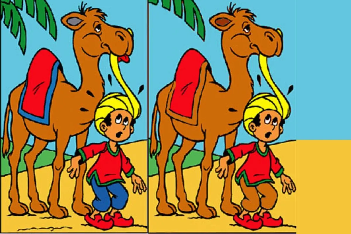 شتر
