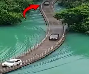 معماری خلاقانه؛ جاده هیجانی رو آب ساختن هر کی از جونش سیر میره نصف ماشینا میفتن تو آب