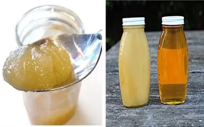 چرا عسل شکرک می‌ زند؟/ روش‌ های حرفه‌ ای نگهداری عسل بدون شکرک زدن