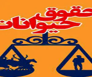 لایحه حمایت از حیوانات در کمیسیون لوایح تصویب شد