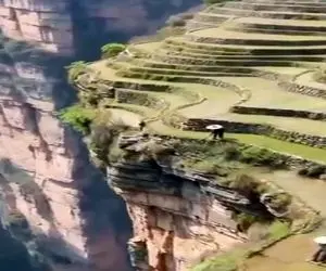 کشاورزی نوین؛ مادربزرگ پیر رفت یه جا از دره مزرعه زد که بز کوهی پا لرزون میره