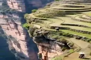 کشاورزی نوین؛ مادربزرگ پیر رفت یه جا از دره مزرعه زد که بز کوهی پا لرزون میره