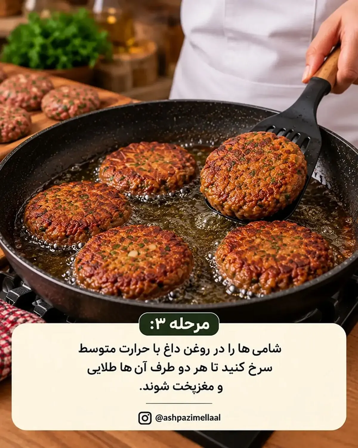 شامی ترش 3