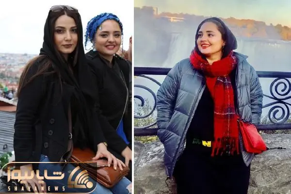 narges mohammadi shayaews