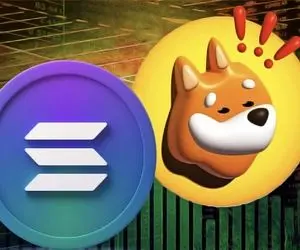 بونک زد رو دست شیبااینو و دوج کوین!