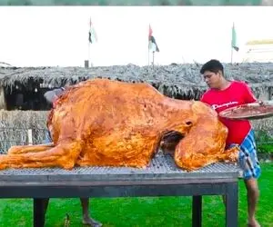 فکن شتر کاملو کباب کنی و بخوری! آشپزی در طبیعت دبی که میگن اینه اما سرو غذاشون یجوریه