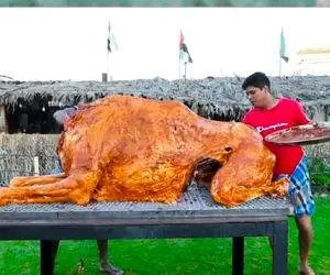 فکن شتر کاملو کباب کنی و بخوری! آشپزی در طبیعت دبی که میگن اینه اما سرو غذاشون یجوریه