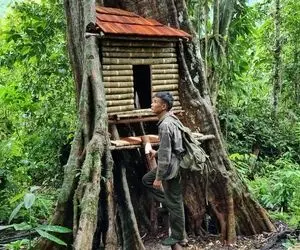 معماری خلاقانه؛ آقاهه دست تنها لای درختا با چوب بامبو یه کلبه ساخته شاهانه و جذاب