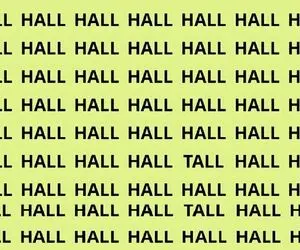 بازی فکری؛ فقط ۱٪ از کسانی که بینایی ۶/۶ دارن میتونن TALL رو بین انبوهی از HALL ببینن