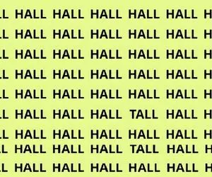 بازی فکری؛ فقط ۱٪ از کسانی که بینایی ۶/۶ دارن میتونن TALL رو بین انبوهی از HALL ببینن