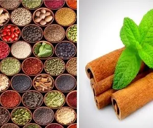 اوه اوه ادویه رو زیاد ریختی؟ غذا شور شده؟ ترش شده؟ ایراد نداره چون چاره داره