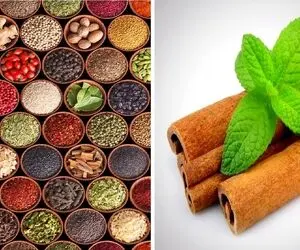 اوه اوه ادویه رو زیاد ریختی؟ غذا شور شده؟ ترش شده؟ ایراد نداره چون چاره داره