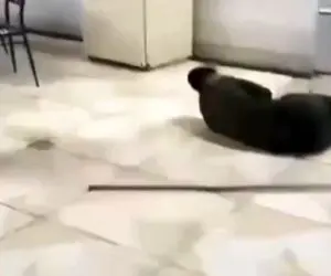 آواز شاد؛ سربازه داشت طی میکشید اهنگ آذری پخش شد اومد ادا بیاد کله پا شد رفیقش ترکید