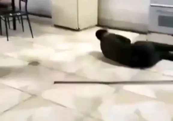 آواز شاد؛ سربازه داشت طی میکشید اهنگ آذری پخش شد اومد ادا بیاد کله پا شد رفیقش ترکید