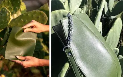 عجیب ولی باورکردنی؛ از کاکتوس با اون همه خار و تیغ کیف پول میسازن!تولید چرم از کاکتوس