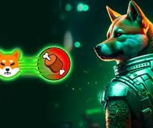 پیش بینی قیمت شیبااینو!