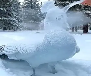 معماری طبیعت؛ طاووس تو برف یخ زده خشک شده ولی زیرش زنده اس آب جوش ریختن روش دوید