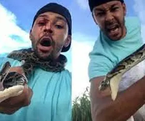 (ویدیو) حمله وحشیانه مار به مارگیر