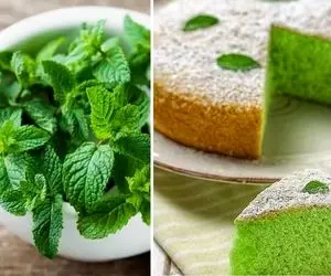 طرز تهیه کیک نعنا / خوش عطرترین کیک خونگی برای فصل سرما