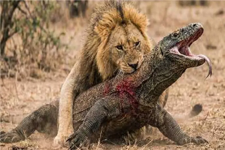 مستند حیات وحش؛ 8 حیوونی که غزل خداحافظی کومودو رو میخونن