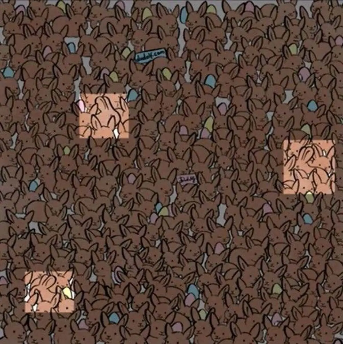 خرگوش