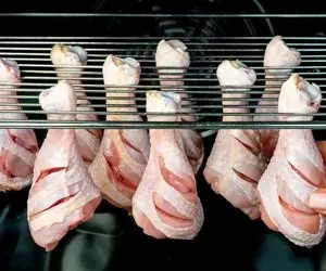 آشپزی خلاقانه؛ رون مرغو یجوری واسه گریل گذاشته تو فر که انگار رخت رو بند پهن کرده