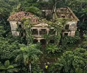 معماری خلاقانه؛ خونه که چه عرض کنم خرابه رو بازسازی کردن برگ ریزون شد در حد لالیگا