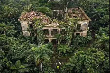 معماری خلاقانه؛ خونه که چه عرض کنم خرابه رو بازسازی کردن برگ ریزون شد در حد لالیگا