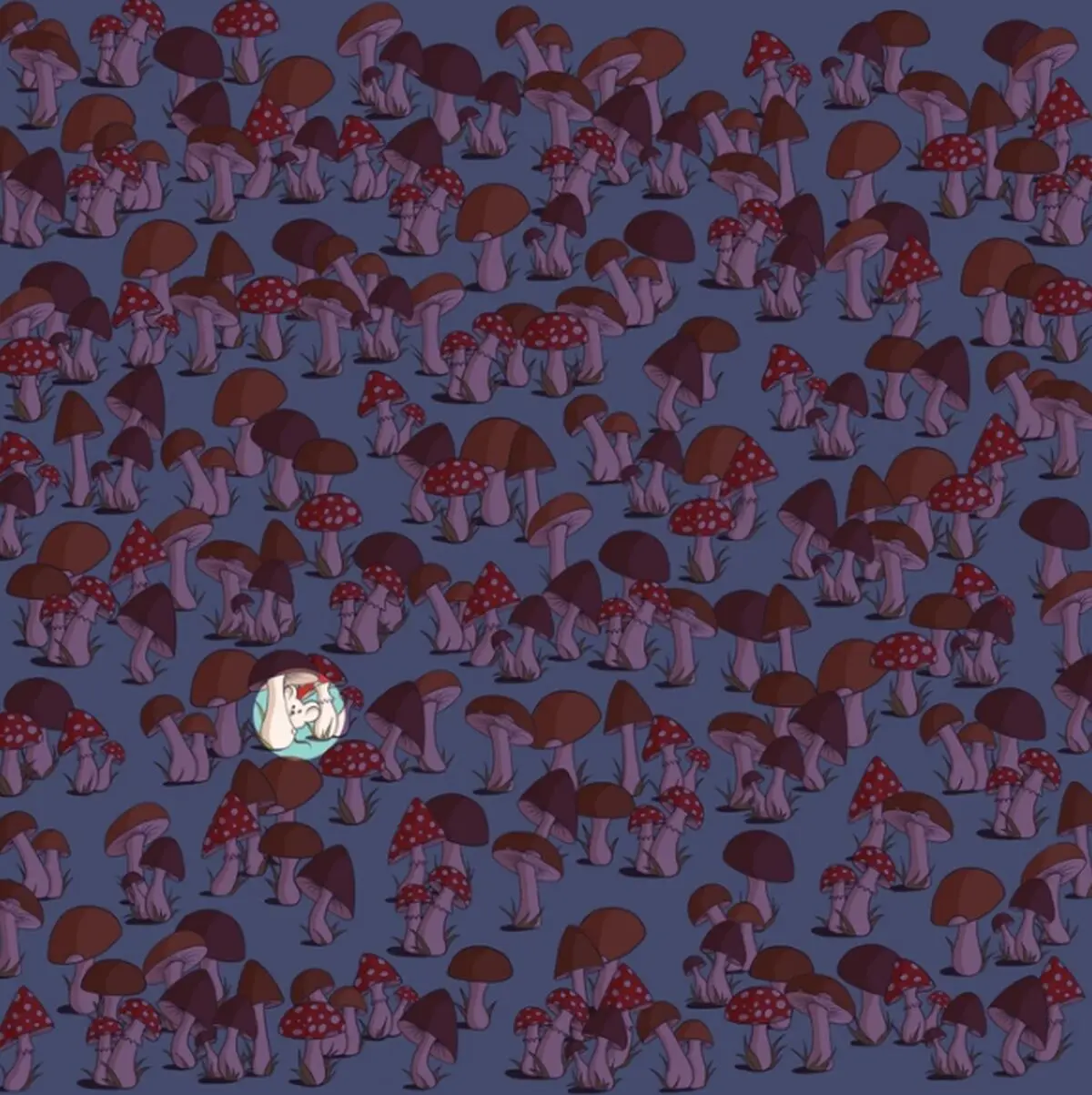 REGGRWET