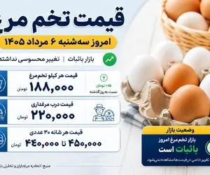 قیمت تخم مرغ امروز سه شنبه 6 مرداد 1405 | هر شانه 30عددی را چقدر بخریم؟