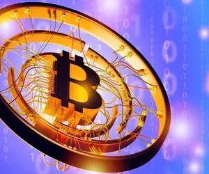 بررسی مهم از قیمت و میگوهای بیت کوین!