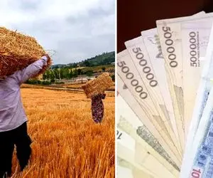 مژده برای کشاورزان / مطالبات گندم کاران واریز میشود
