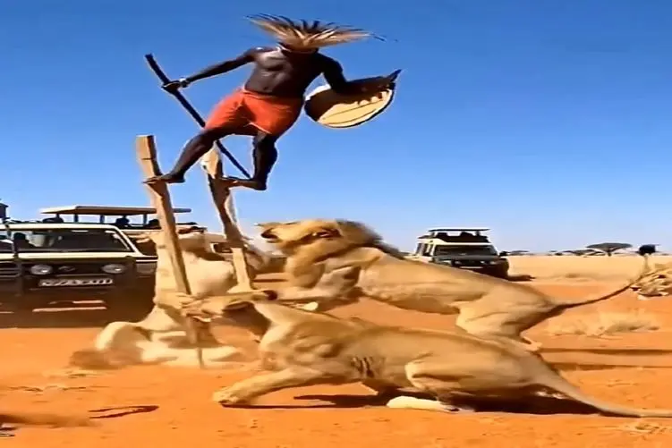 معماری طبیعت؛ شیرها کارمندای عزرائیلن ولی آقاهه زرنگه