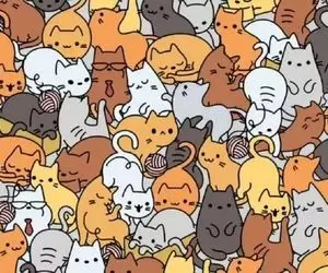 بازی فکری؛ کار هرکسی نیست و دشوار پیدا کردن موش بین گربه به دید بسیار تیزی نیاز داره