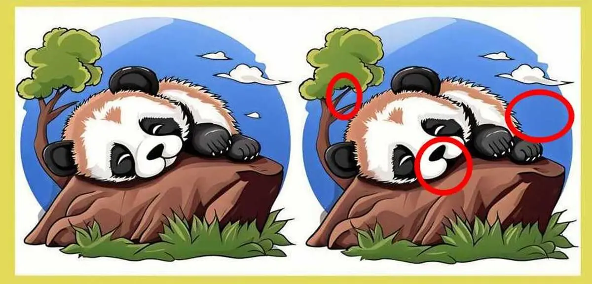 آزمون-شناسایی-تفاوت-های-دو-پاندا-2