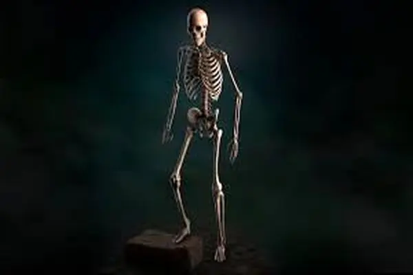 تعبیرخواب اسکلت