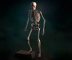 تعبیرخواب اسکلت،دیدن  زنده شدن اسکلت در خواب