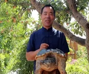 غذای ندیده و نشنیده؛ آقاهه دیگه شورشو درآورده با لاکپشت چرا همچین کرد!