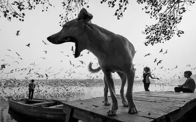 عکاسی سیاه و سفید به روایت احساسات/ از شلوغی خیابان تا سکوت کوچه